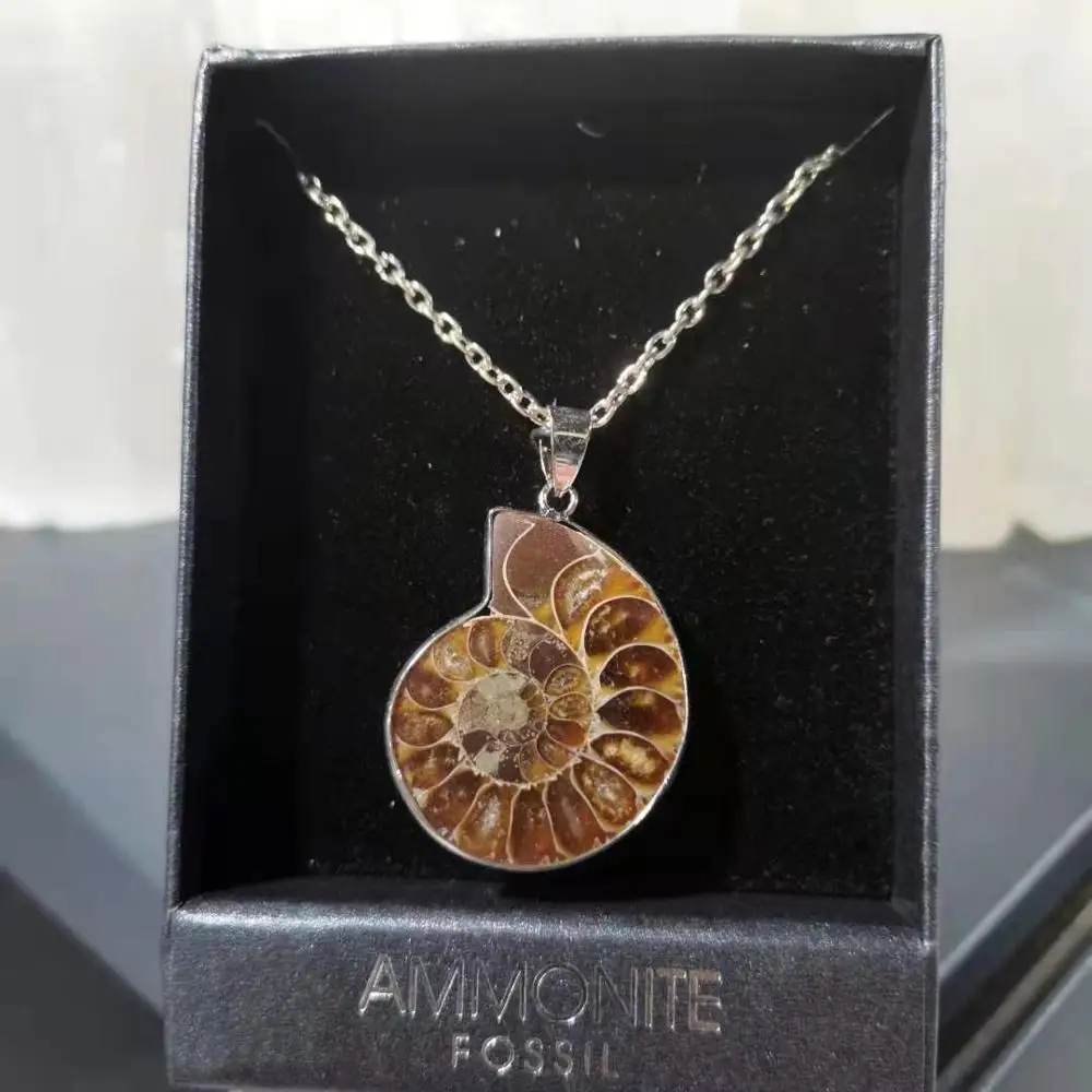 

Natural ammonite stone Jewelry Wrapped Pendant Necklace