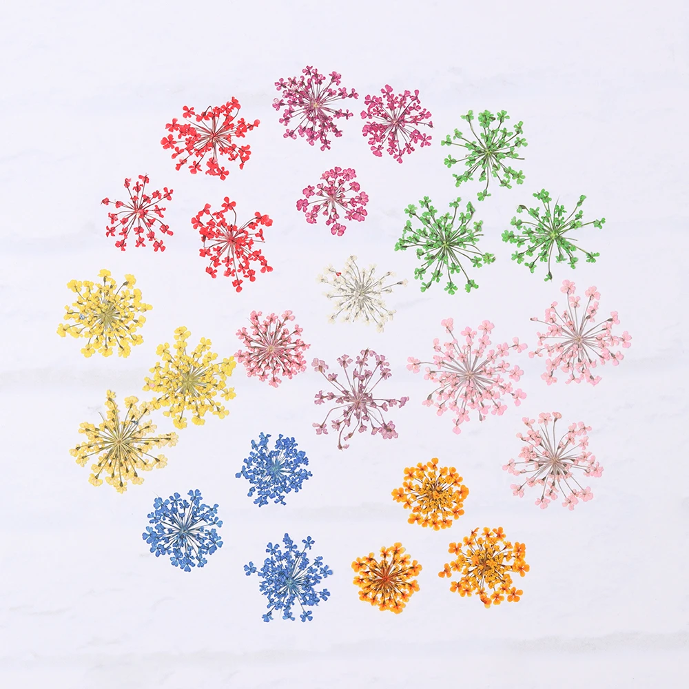 Набор прессованный высушенный для изготовления кулонов ювелирных изделий