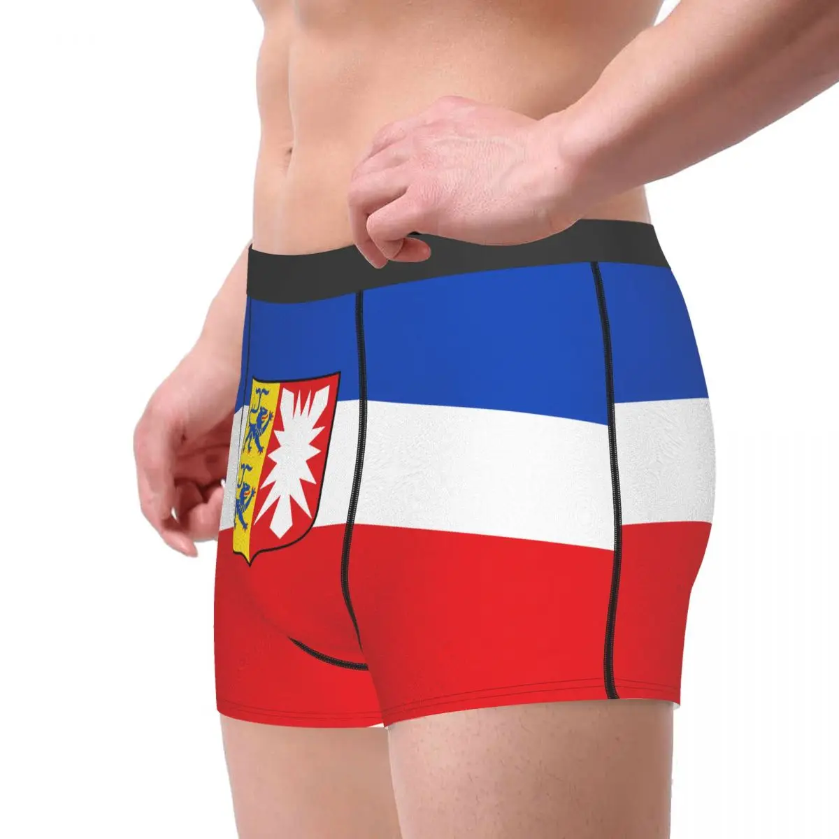 Flag Of Schleswig-Holstein (state) Men's Boxer Briefs German states Funny Joke Men's boxer leggings