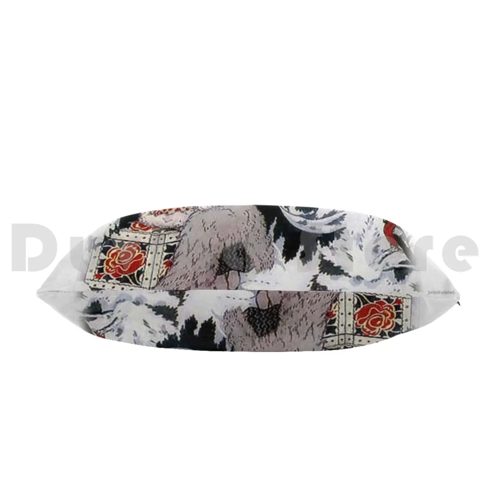 Там она была хорошая меховая накидка на плечи и дорогие наволочки вокруг нее-из