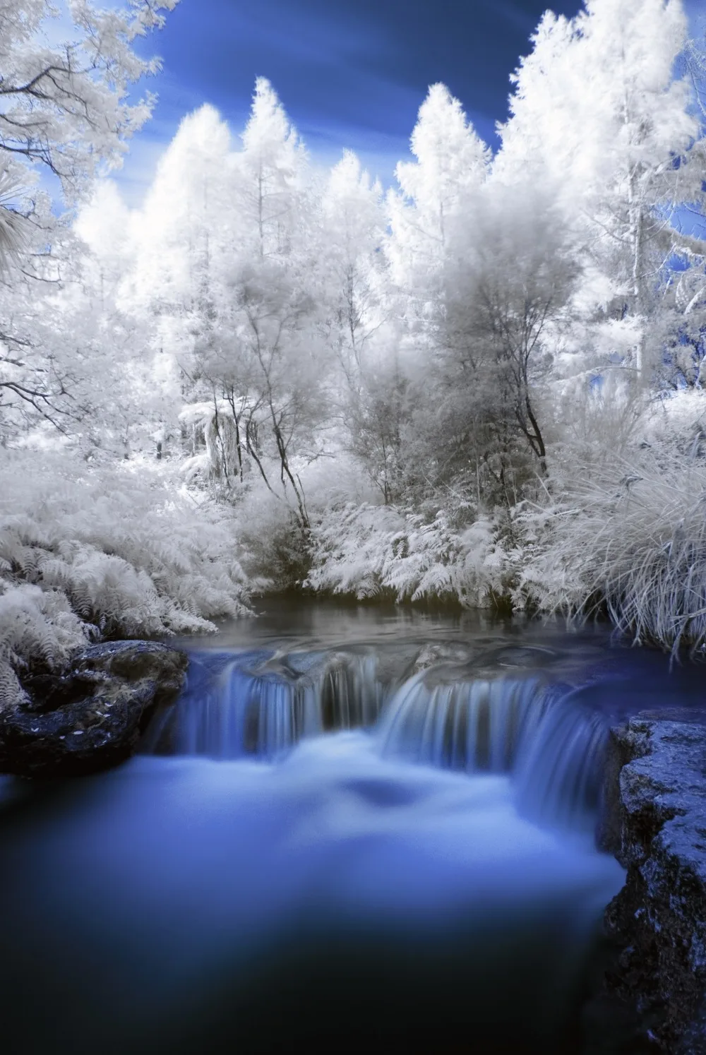 5D круглая Алмазная картина зимняя вышивка пейзаж полный квадратный снег стразы