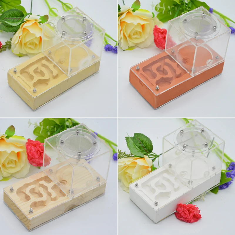 Pet Plane Gypsum Nest Ant Farm With Ants and Food Reptile Terrarium 4 Colors to Choose From