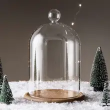 Домашний декор стеклянные вазы цветок дисплей Cloche колокольчик купольная бессмысловая сохранение+ деревянная основа Everlasting цветок стеклянная крышка