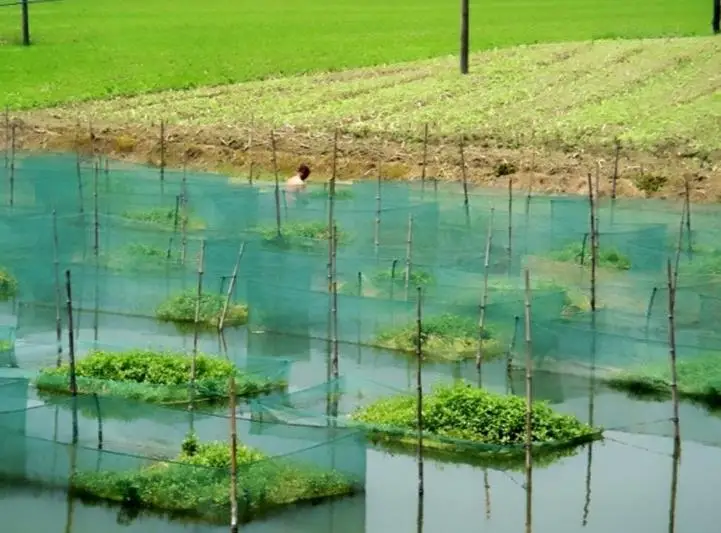 Рыболовная сеть в клетке для аквакультуры рыболовная ловли рыбы клетка угрей