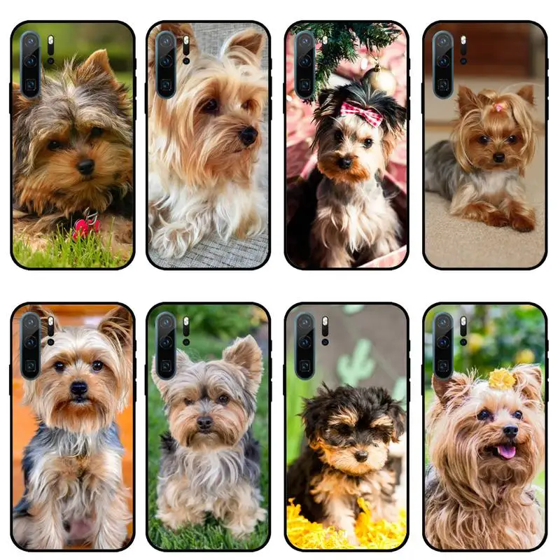 

Cute animal Mini Yorkshire Terrier Phone Case For Huawei honor Mate P 10 20 30 40 i 9 8 pro x Lite smart 2019 nova 5t