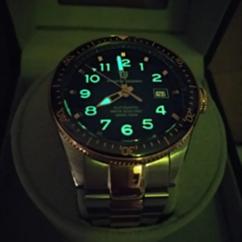 

2021 брендовые Pagani дизайнерские автоматические механические часы 100 м водонепроницаемые деловые мужские часы из нержавеющей стали с керамич...