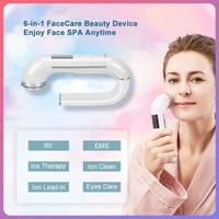 new cold compress multifunctional beauty instrument micro current ionimport and export vibration enhances firmness rf instrument