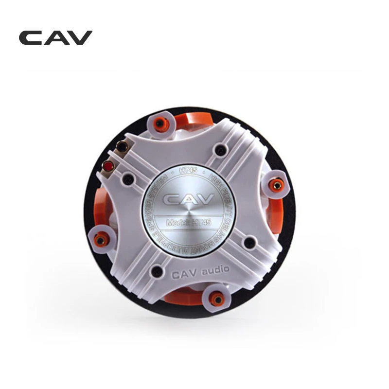 Профессиональная акустическая система CAV Потолочная колонка с объемным звуком