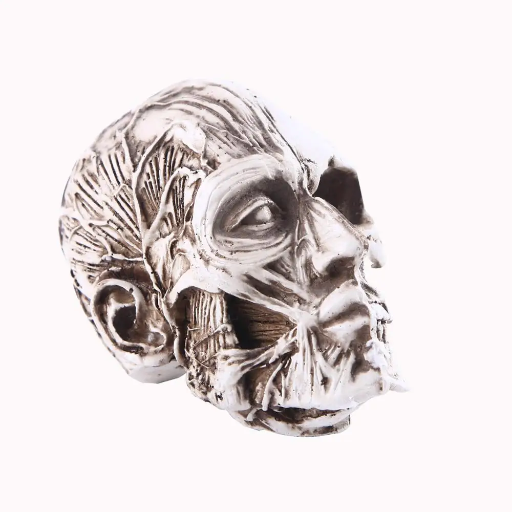 Искусственный череп из смолы модель искусственный Скелет человека декоративный