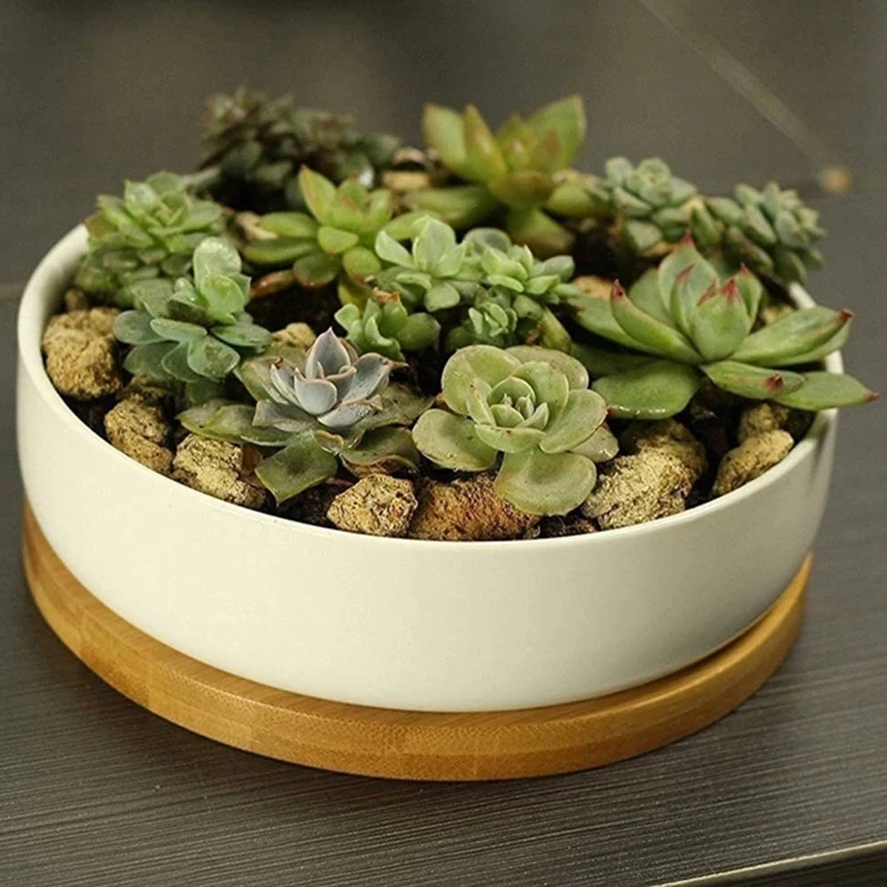 6.1 Inch Round Bamboo Plants Plant Saucer Pot Tray For Indoor And Outdoor | Дом и сад