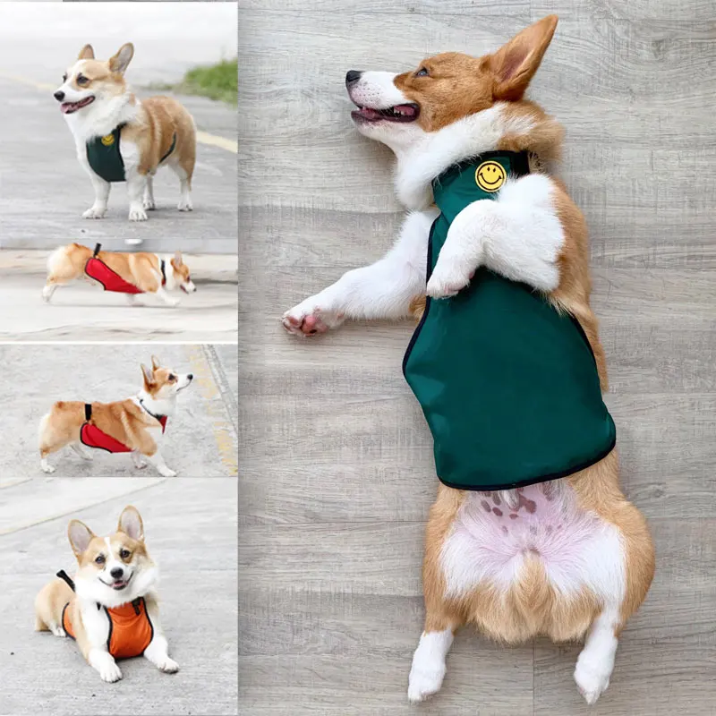 Бархатный водонепроницаемый фартук для защиты живота от корги одежда маленьких