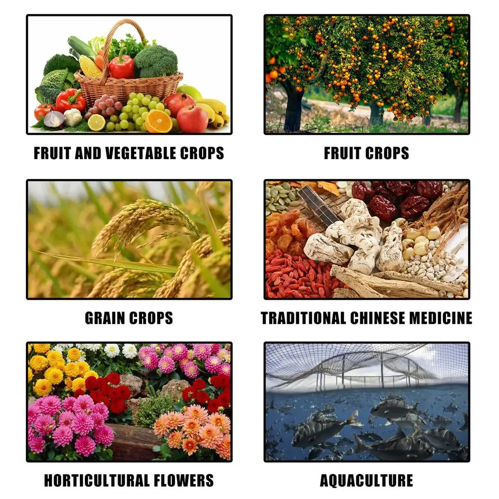 

Amino Acid Powder Professional Practical Soil Fertilizer
