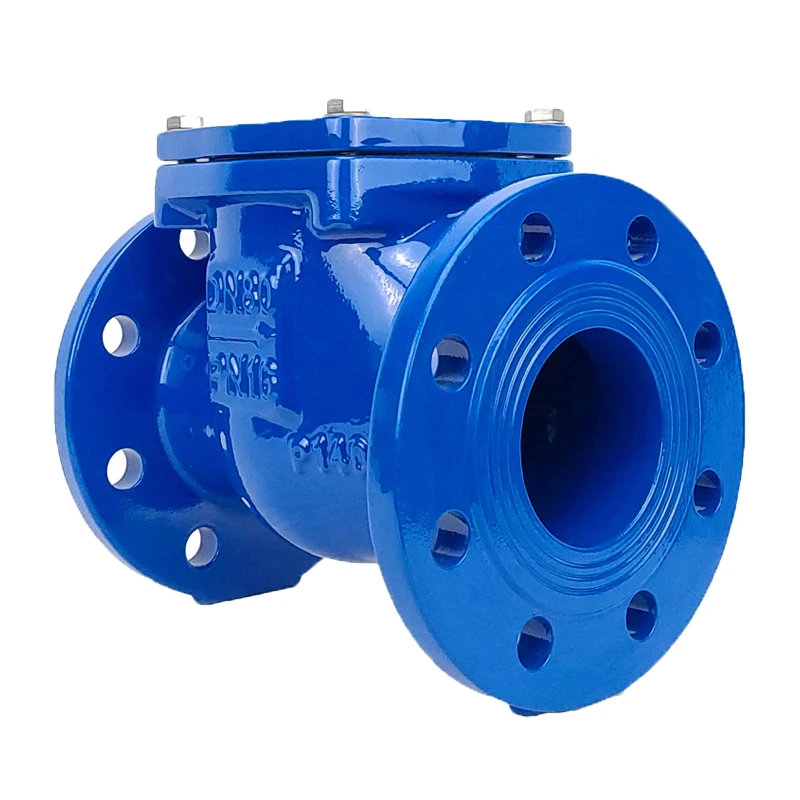 

anti back fire non return check valve fitting