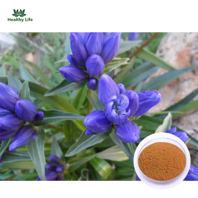 

Natural Gentiana Extract Powder Free Shipping