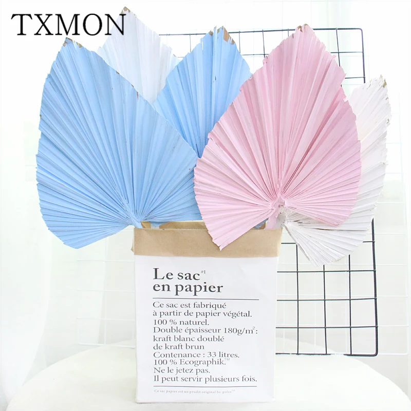 Веер в нордическом стиле натуральный кошачий хвост сушеный цветок пальма