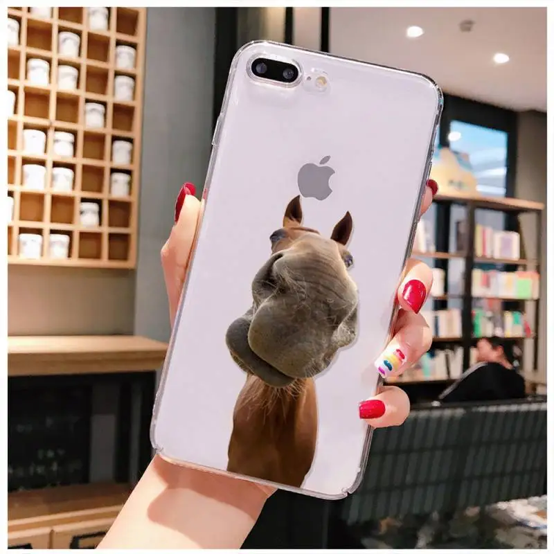 

Yinuoda Frederik The Great beauty horse Phone Case For iPhone X XS MAX 6 6s 7 7plus 8 8Plus 5 5S SE 2020 XR 11 12pro max Case