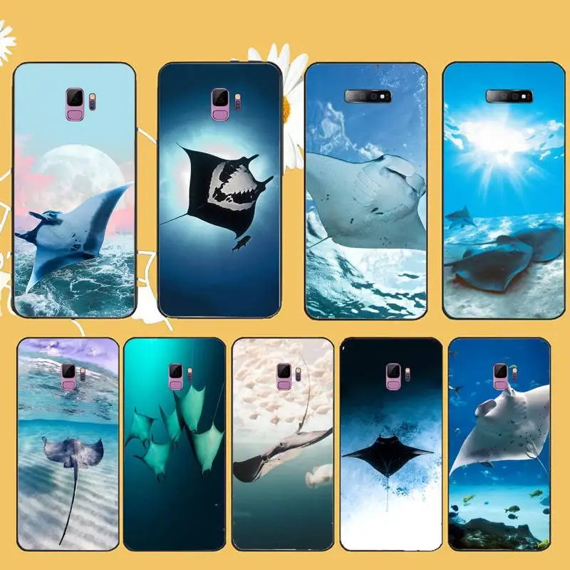 

Marine life manta ray Phone Case For Samsung galaxy A S note 10 7 8 9 20 30 31 40 50 51 70 71 21 s ultra plus