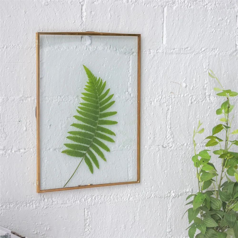28x36cm Retro Glass Picture Frame Display Poster Plants Specimen Clip Home Office Wall Decoration Card Photo Frames Rectangle