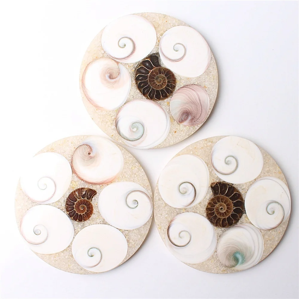 Диск из натуральной солнечной раковины 100-110 мм коллекция окаменелостей аммонита