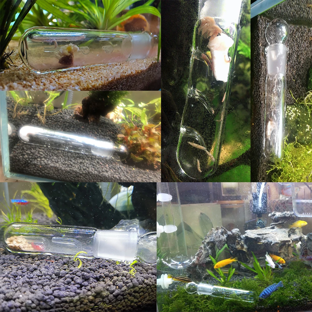 1 шт. 1/2/3 отверстие червь ловушка Очищающий Инструмент водных Planaria Ловец Стекло