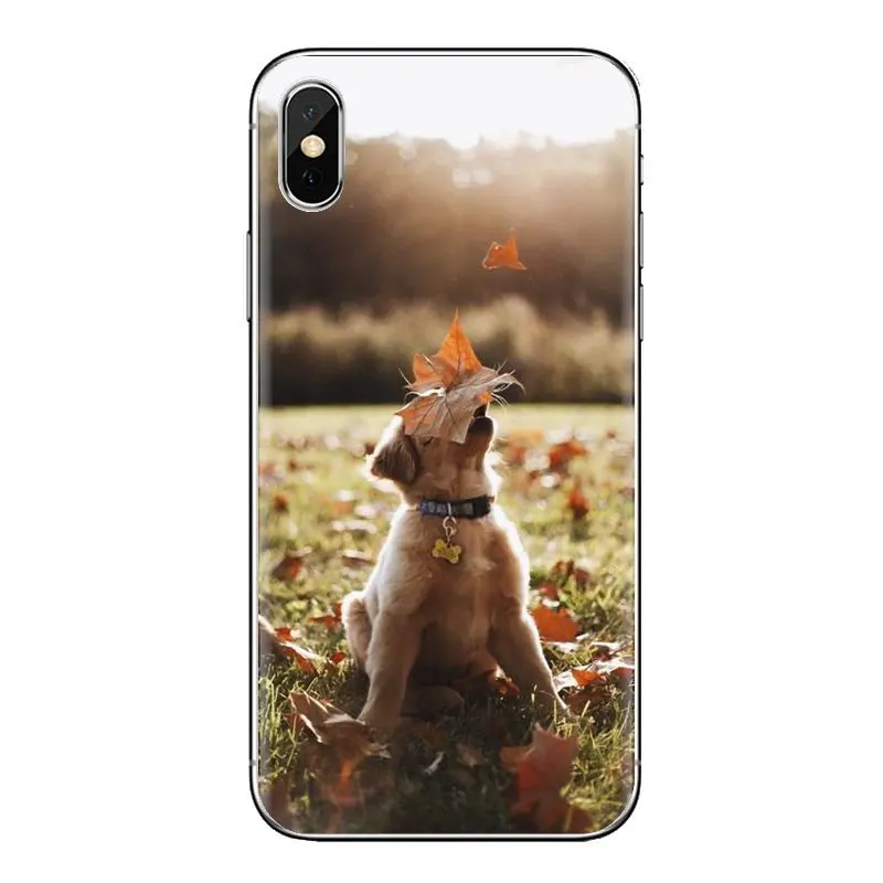 For Samsung Galaxy A3 A5 A7 A9 A8 Star A6 Plus 2018 2015 2016 2017 Animals Golden Retriever Dog Pet Soft Transparent Case Covers |