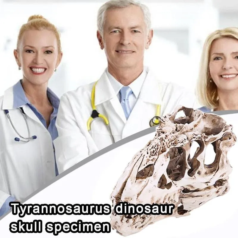 

Resin Tyrannosaurus Skull Tyrannosaurus Dinosaur Movie Science Educational Home Tool Props Festival Halloween Decoration Z4X0