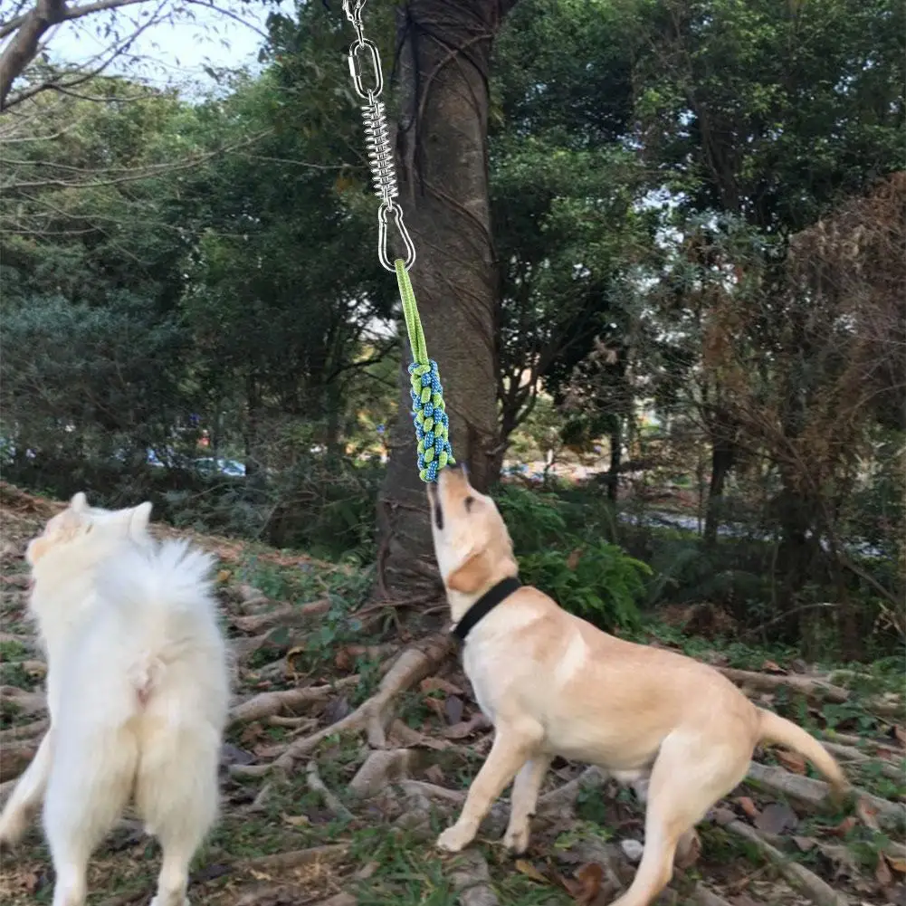 

Dogs Spring Pole Toys Outdoor Strong Hanging Exercise Rope Pet Muscle Builder for Medium Large Dogs in stock
