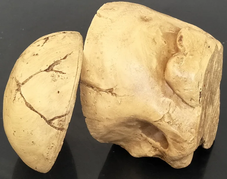 1 шт. жесткая полимерная чашка для татуировок типа черепа/колпачки-держатели