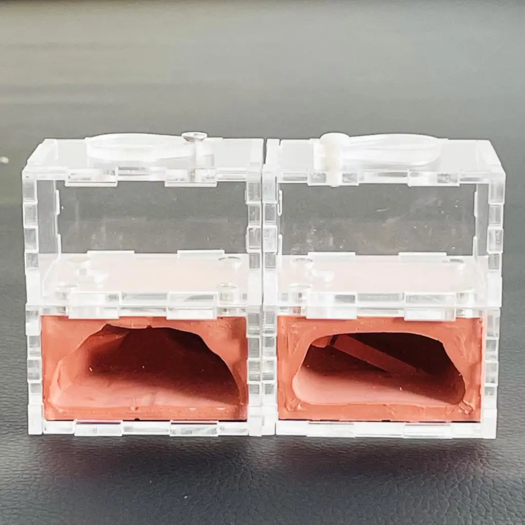 Large ant Ecological mini pocket hole ant castle,Acrylic Plaster Ant Nest Ants Farm Combo Hybrid Ant Formicarium box