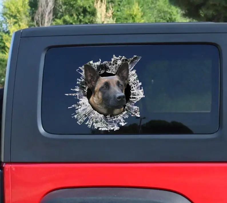

Belgian malinois window decal, belgian malinois car sticker, pet car decal