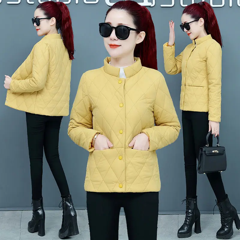 

Куртка женская осенне-зимняя, ульсветильник Кая, с воротником-стойкой, приталенная, в Корейском стиле, повседневная, 2021