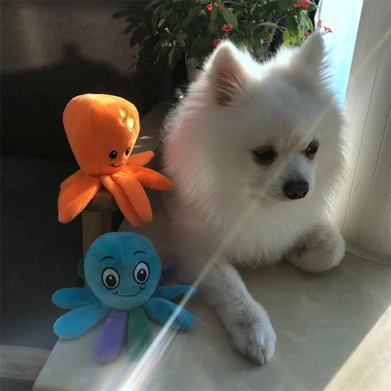 Тренинг собак игрушки поставки Забавный Кот игрушка прекрасная маленькая белая