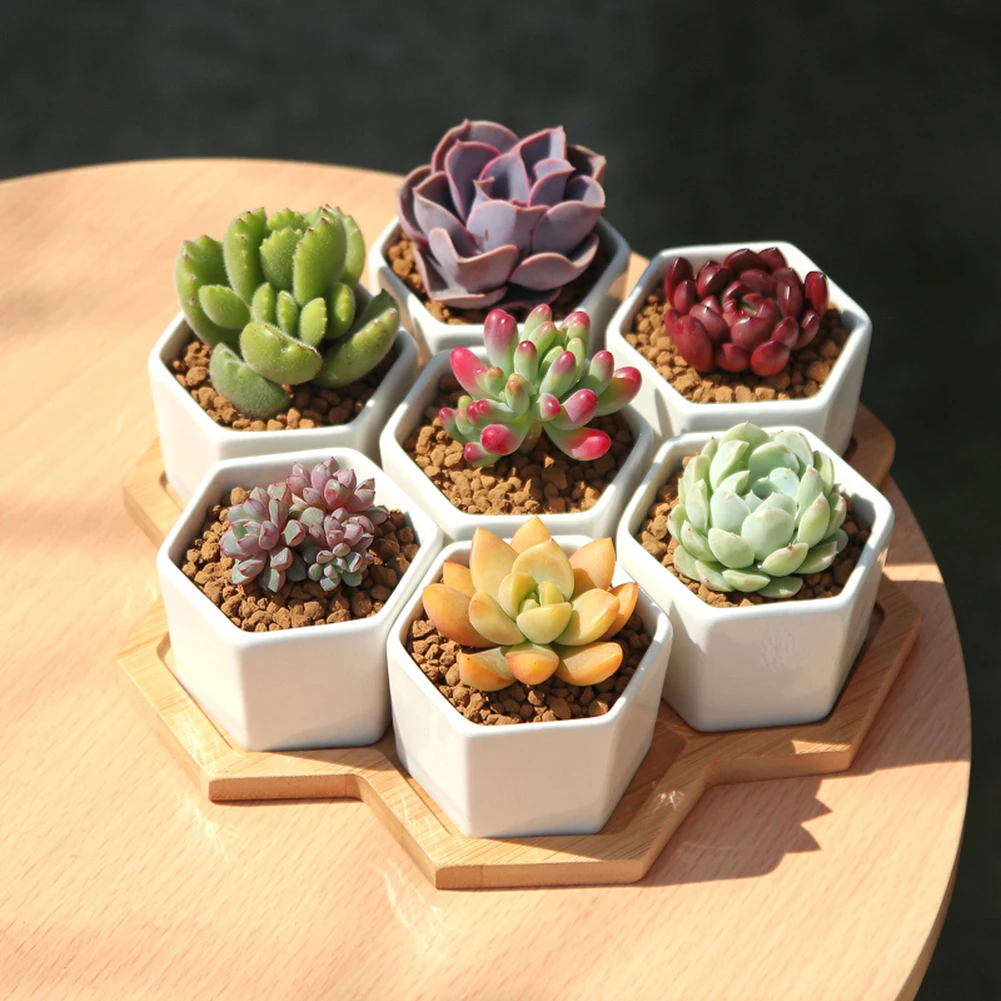 Силиконовый горшок для растений формы Форма Искусство ремесло виниловые фоны