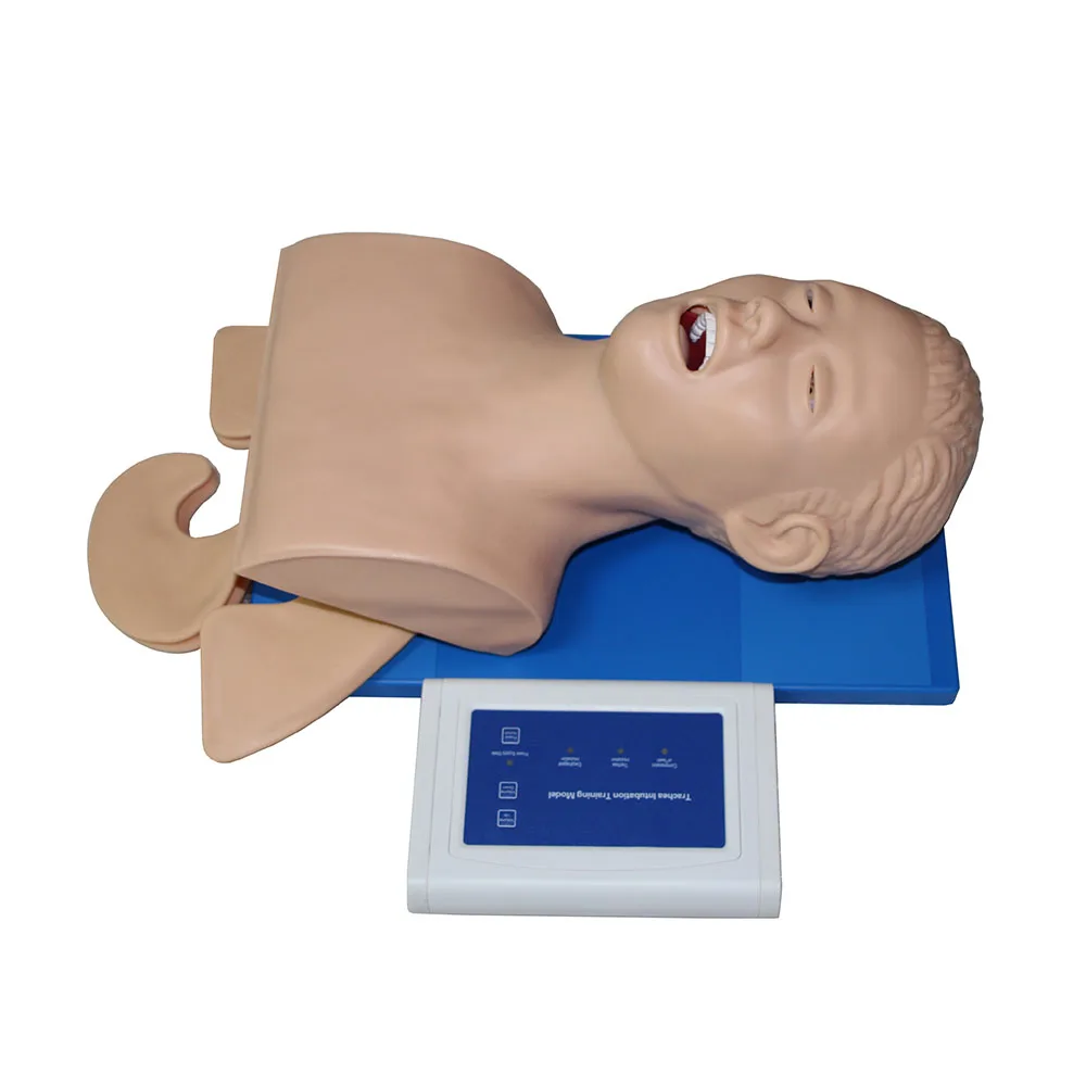 Обучающая модель манекена для интубации обучающая тренажер управления