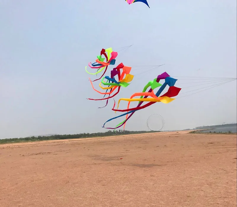 

free shipping high quality 6m rainbow windsock kite flying large kites adult kite reel ripstop nylon kite factory albatross 3d