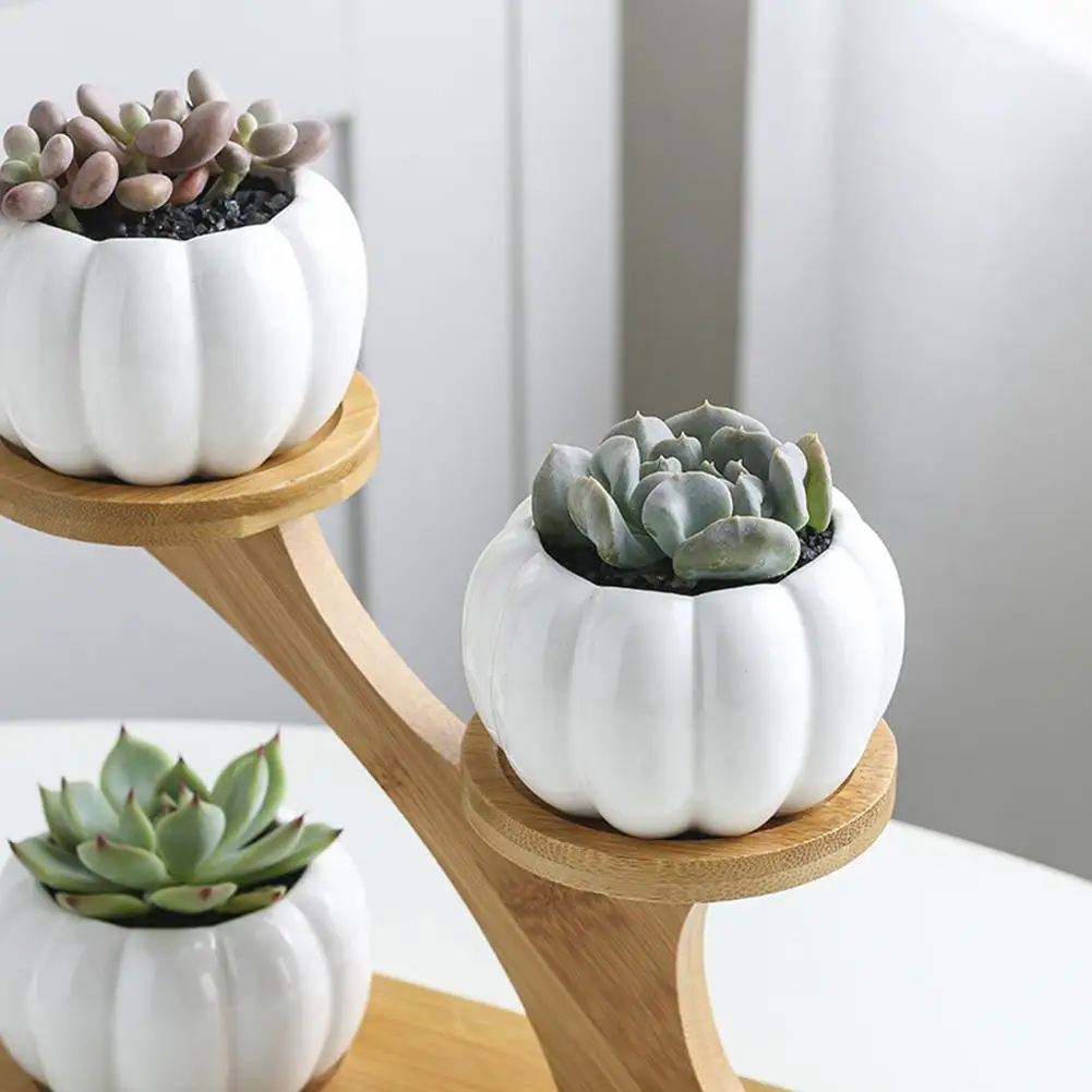 Простой белый горшок для суккулентов цветов бамбуковый держатель Керамическая