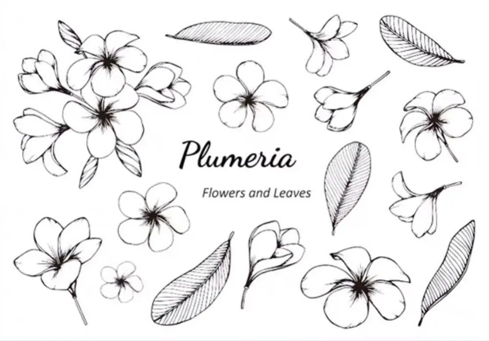 Цветочный прозрачный штамп/печать для DIY скрапбукинга/альбом декоративные