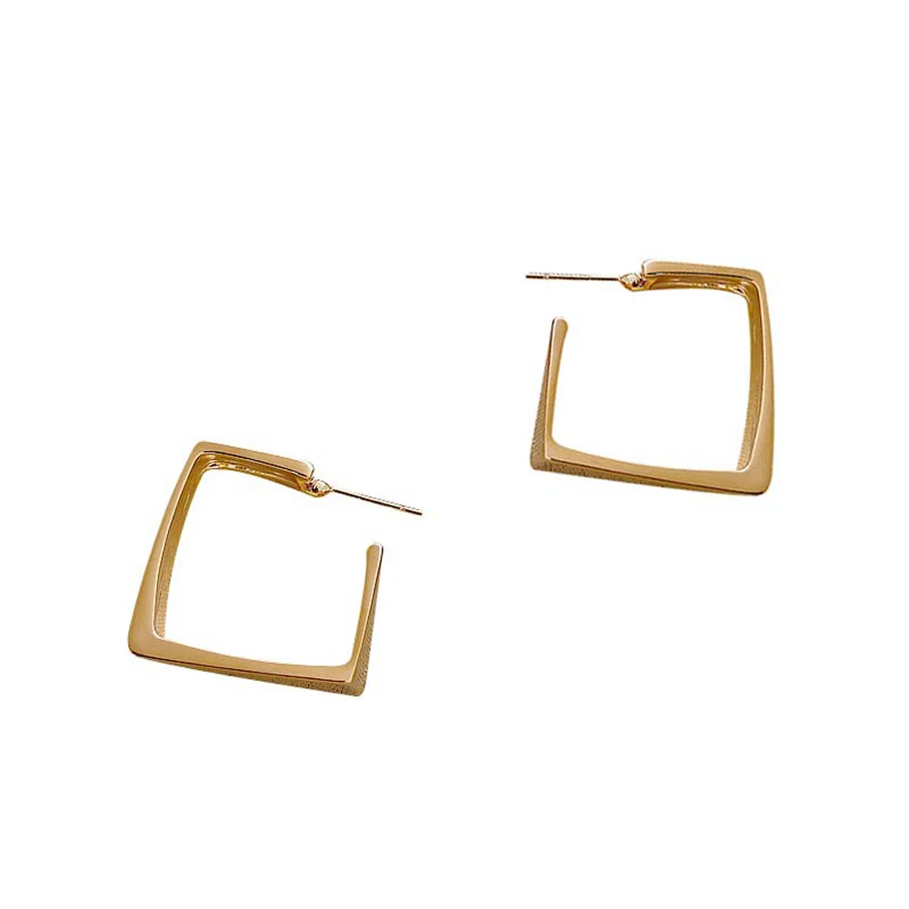 

Trendy Fashion Elegant Metal Hoop Earrings Woman 2021 New Minimalism Earrings