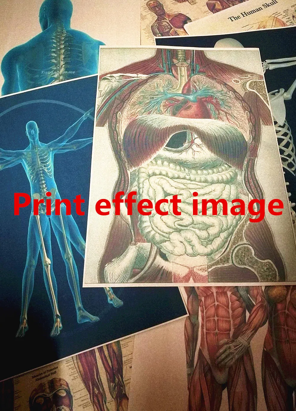 Ретро 3D рентгеновское сканирование человека анатомия плакаты скелетного