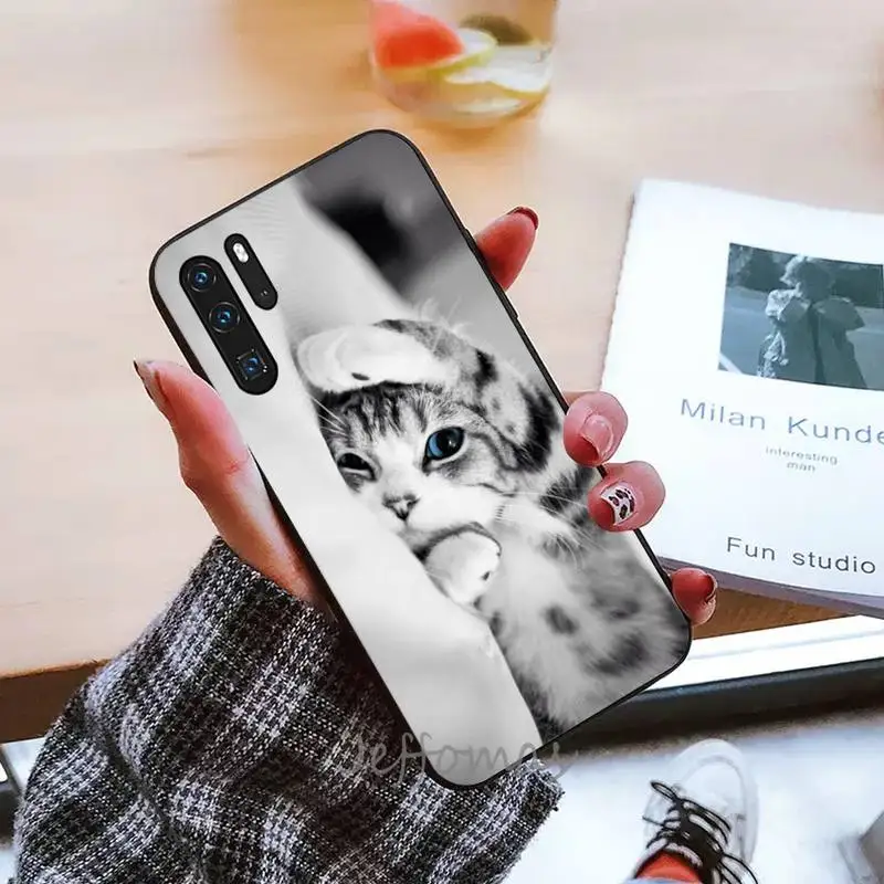 

Funny Kitten Cat Phone Case Funda For Huawei P9 P10 P20 P30 Lite 2016 2017 2019 plus pro P smart