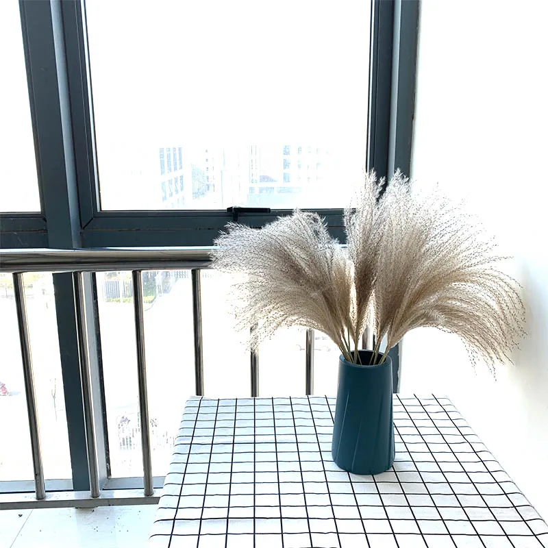 

Pampas Grass Christmas Decor Real Pampas Grass Reed Natural Dried Plant Ornaments Wedding Decor Flower Bunch Plastic Vase