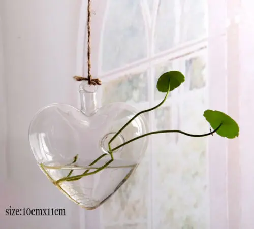 F Creative terrarium hydroponic plant transparent vase wooden frame vase decoratio glass Table plant Bonsai decoration vase - Цвет: F