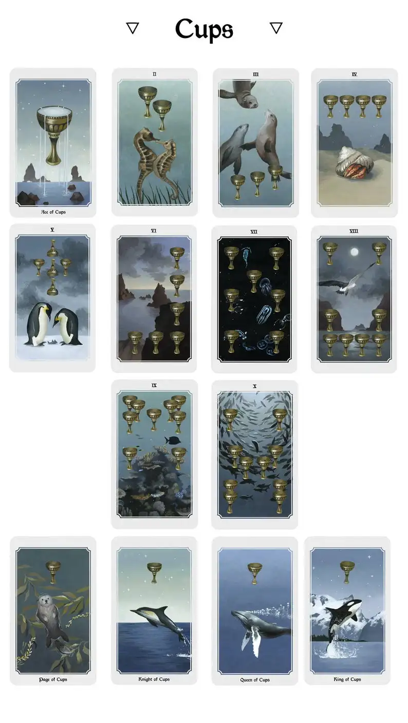 Таро-колода Anima Mundi 78 карт колода с инструкцией природы карты для гадания