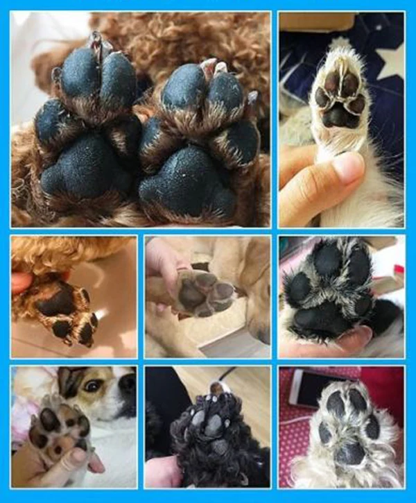 Портативный Pet щетка для чистки чашек Paw плунжерный очиститель стиральная машина