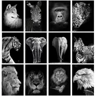 Черно-белая алмазная живопись 5D сделай сам, Лев, тигр, леопард, орангутан, слон, алмазная вышивка для гостиной, Декор, искусство