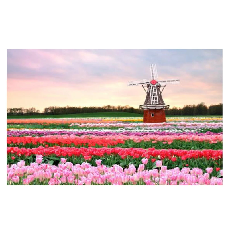 

5D ветряная мельница пасторальный пейзаж Природный Полный алмаз круглая алмазная живопись