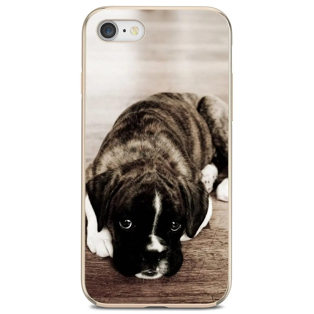 Мягкий чехол boxer-dog-щенок для Samsung Galaxy A12 A31 A41 A51 A71 A20e A21s M30 A10 A30 A40 A50 A60 A70 | Мобильные