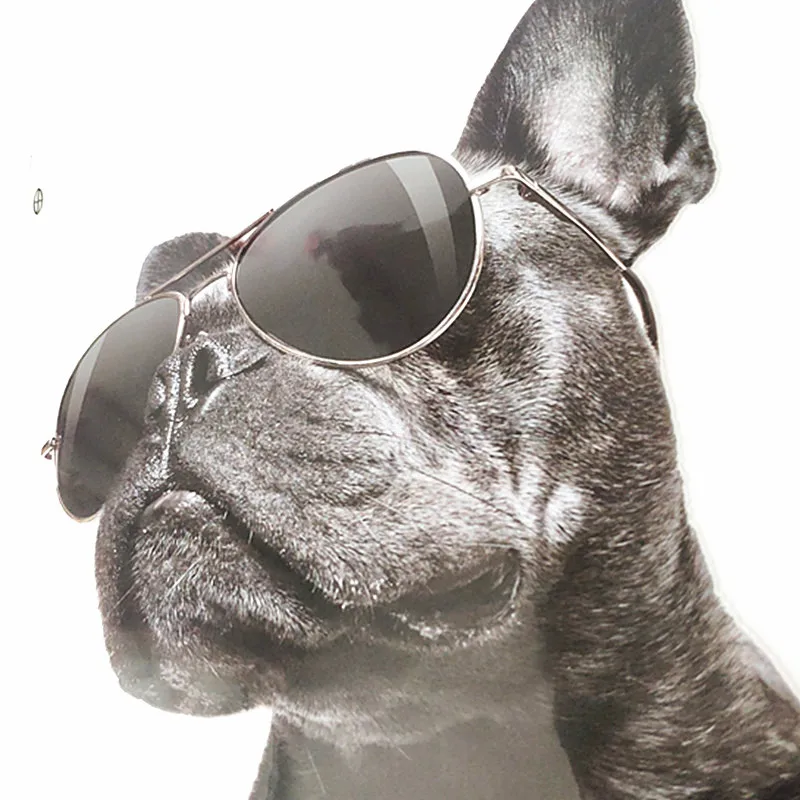 ShinEquin байкерские нашивки для одежды одежда с теплопередачей печать бульдога