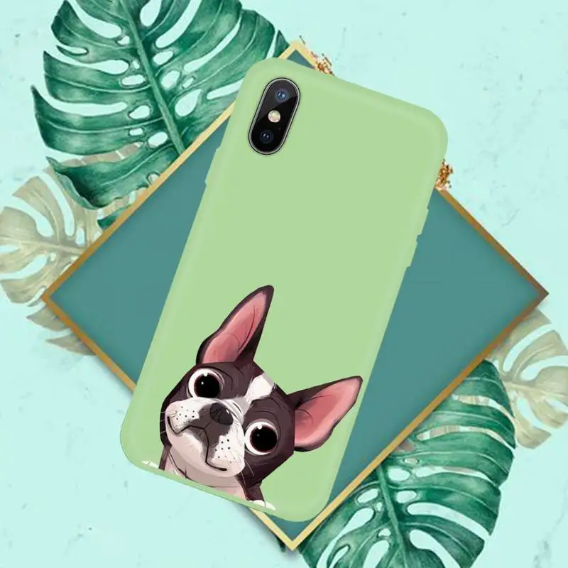 

Dog French Bulldog Phone Case Green Candy Color for iPhone 11 12 mini pro XS MAX 8 7 6 6S Plus X SE 2020 XR