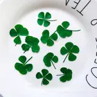 10 шт. сушеный лист клевера УФ смола декор дизайн ногтей эпоксидная форма DIY заполнение ювелирных изделий Jy28 21 дропшиппинг